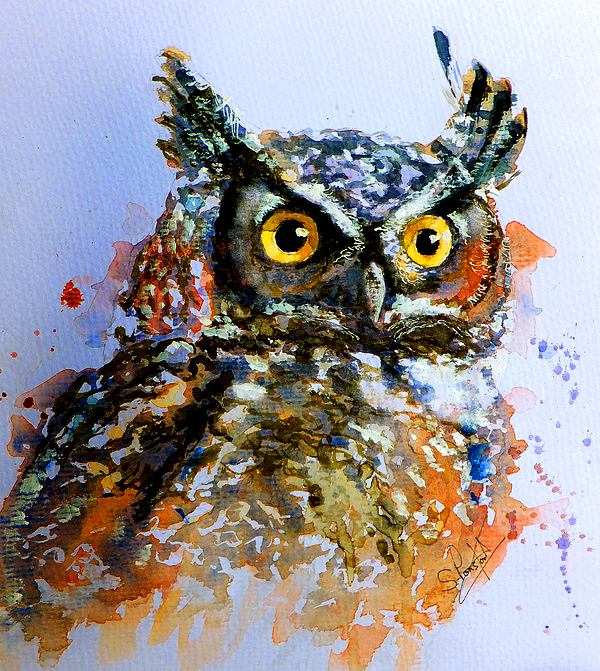 The wise old owl by Steven Ponsford The wise old owl by Steven Ponsford